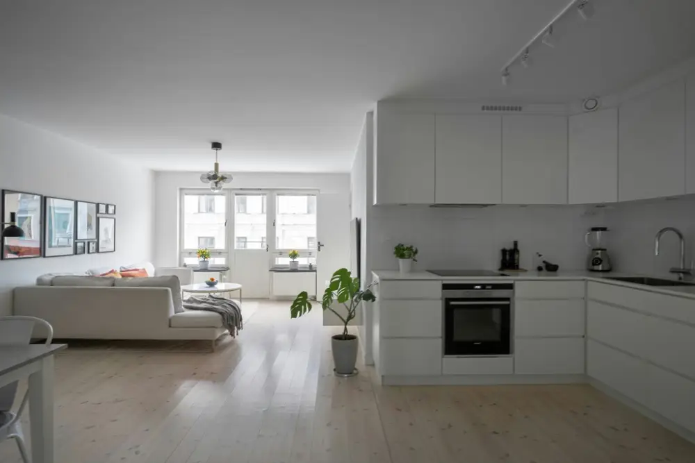 home renovation trends
