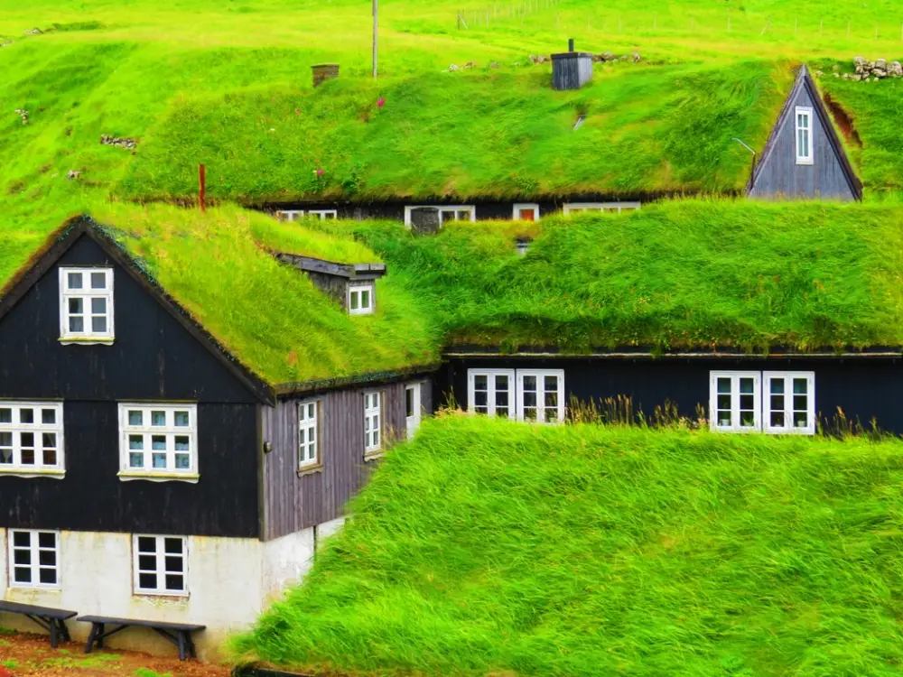 Eco Friendly Modern Roof